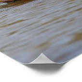 Mallards Poster (Ecke)