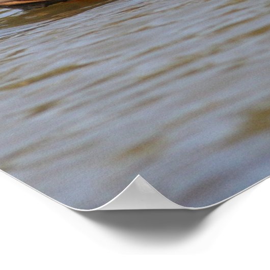 Mallards Poster (Ecke)