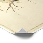 Mallards und Kingfisher (Utamaro) Poster (Ecke)