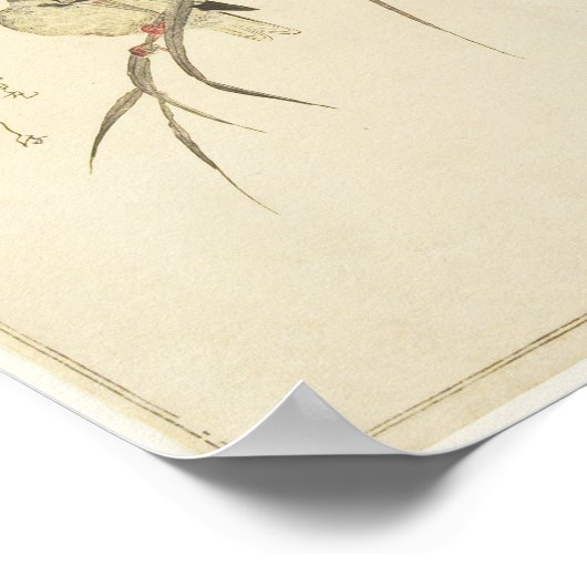 Mallards und Kingfisher (Utamaro) Poster (Ecke)