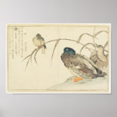 Mallards und Kingfisher (Utamaro) Poster (Vorne)
