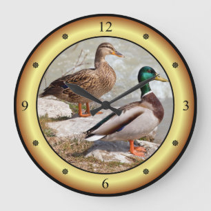 Mallards ~ Wilde Enten ~ Anas platyrhynchos ~ Große Wanduhr