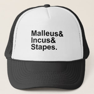 Malleus Incus Stapes Drei Knochen des Mittelohrs Truckerkappe