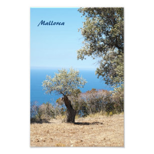 Mallorca-Fotoabzug Fotodruck