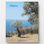 Mallorca Fotoplatte (Vorderseite)