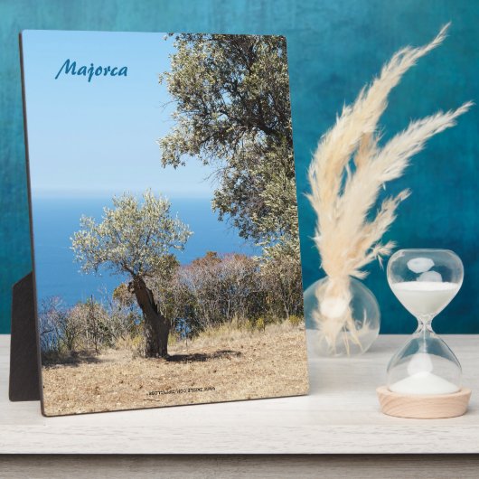 Mallorca Fotoplatte (Seite)