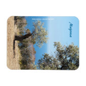 Mallorca Magnet (Horizontal)