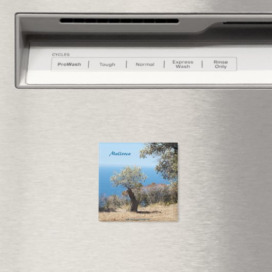 Mallorca-Magnete Magnet (In Situ (Geschirrspüler))