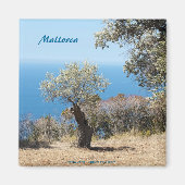 Mallorca-Magnete Magnet (Vorne)