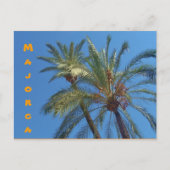 Mallorca Palms - Postkarte (Vorderseite)