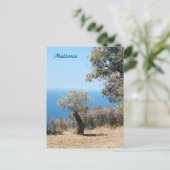 Mallorca Postcard Postkarte (Stehend Vorderseite)