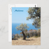 Mallorca Postcard Postkarte (Vorne/Hinten)