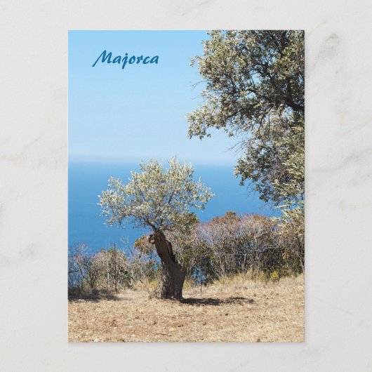Mallorca Postkarte (Vorderseite)