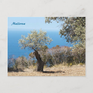 Mallorca Postkarten