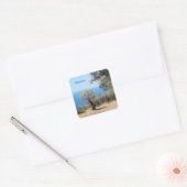 Mallorca Stickers (Umschlag)