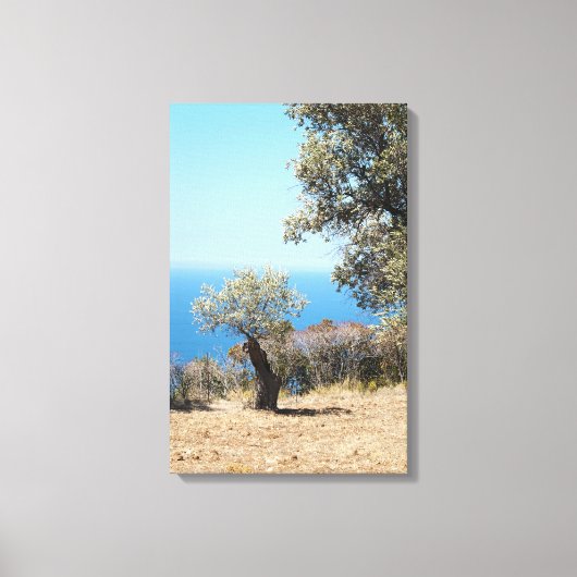 Mallorca Wrapped Canvas Leinwanddruck (Vorderseite)