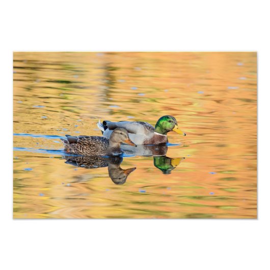 Mallorquiner Fotodruck (Vorne)