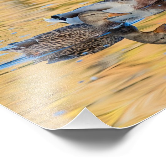 Mallorquiner Fotodruck (Ecke)