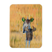 Mallorquiner Magnet (Vertikal)