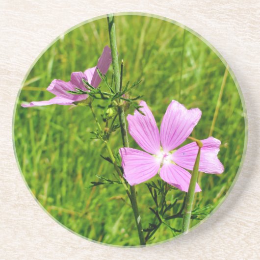 Mallow Getränkeuntersetzer (Vorne)