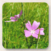 Mallow Getränkeuntersetzer (Vorderseite)