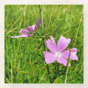 Mallow Glasuntersetzer