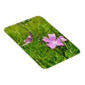 Mallow Magnet (Rechte Seite)