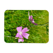 Mallow Magnet (Horizontal)