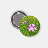 Mallow Magnet (Vorderseite/Rückseite)