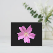 Mallow Postkarte (Stehend Vorderseite)