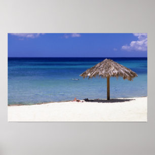 Malmok Beach, Aruba, Niederländische Antillen Poster