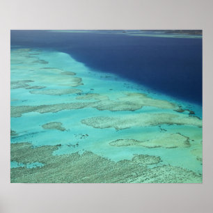 Malolo Barrier Reef vor Malolo Island, Fidschi Poster