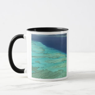 Malolo-Barriereriff vor Malolo Island, Fidschi Tasse