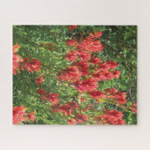 Malpinsel-Puzzle Puzzle (Horizontal)