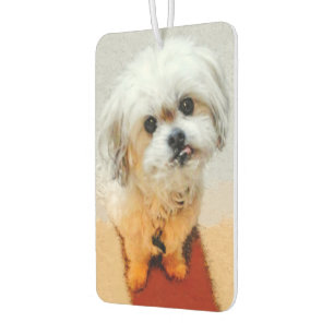 Malshi Dog Autolufterfrischer