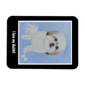 Malshi Dog Flexible Foto Magnet (Horizontal)