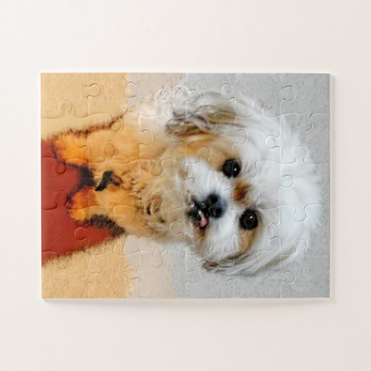 Malshi Dog Jigsaw Puzzle Oversized (Horizontal)