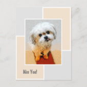 Malshi Dog Miss You Postcard Postkarte (Vorderseite)