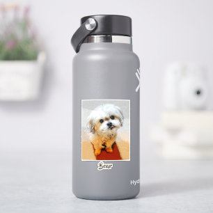 Malshi Hund Aufkleber