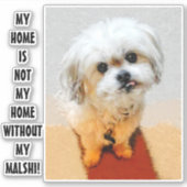 Malshi Hund Custom Cut Sticker (Vorderseite)