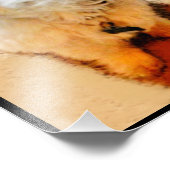 Malshi-Kalender 2026 Fotodruck (Ecke)