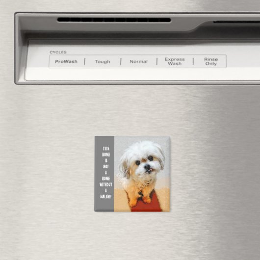 Malshi Magnet mit Text (In Situ (Geschirrspüler))