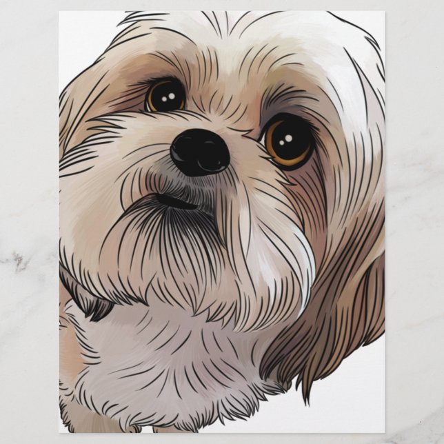 Malshi Mal-shi (Vorderseite)