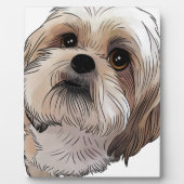 Malshi Mal-shi Fotoplatte (Vorderseite)