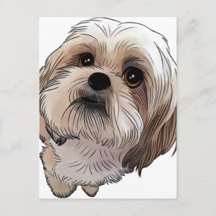 Malshi Mal-shi Postkarte