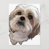 Malshi Mal-shi Postkarte (Vorderseite)