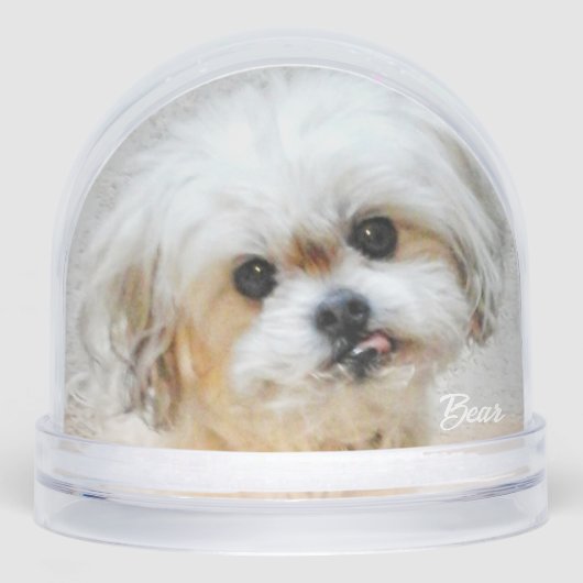 Malshi Snow Globe Schneekugeln (Vorderseite)