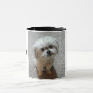 Malshi-Tasse Tasse