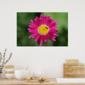 Malt Daisy Poster oder Print (Küche)
