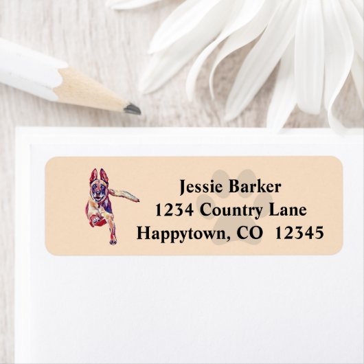 Malte belgische Malinois-Rücksendeadresse (Insitu)